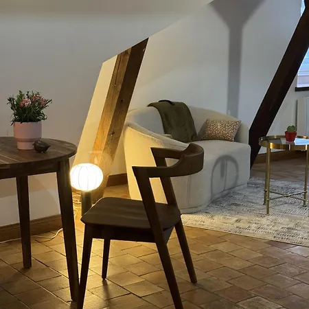 De Charme Au Coeur D'angers * Angers