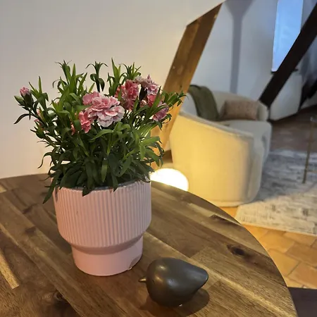 De Charme Au Coeur D'angers Apartamento
