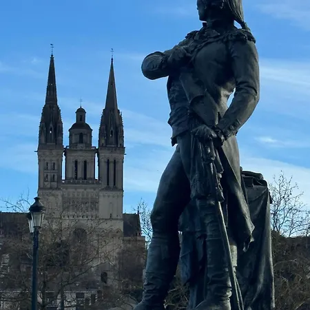 De Charme Au Coeur D'angers Apartamento